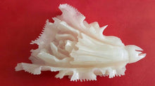 Load image into Gallery viewer, 7&#39;&#39;L-Chinese Genuine Natural White Jade Handcarved Lucky Cabbage Statue