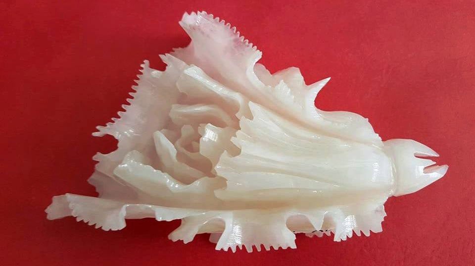 7''L-Chinese Genuine Natural White Jade Handcarved Lucky Cabbage Statue